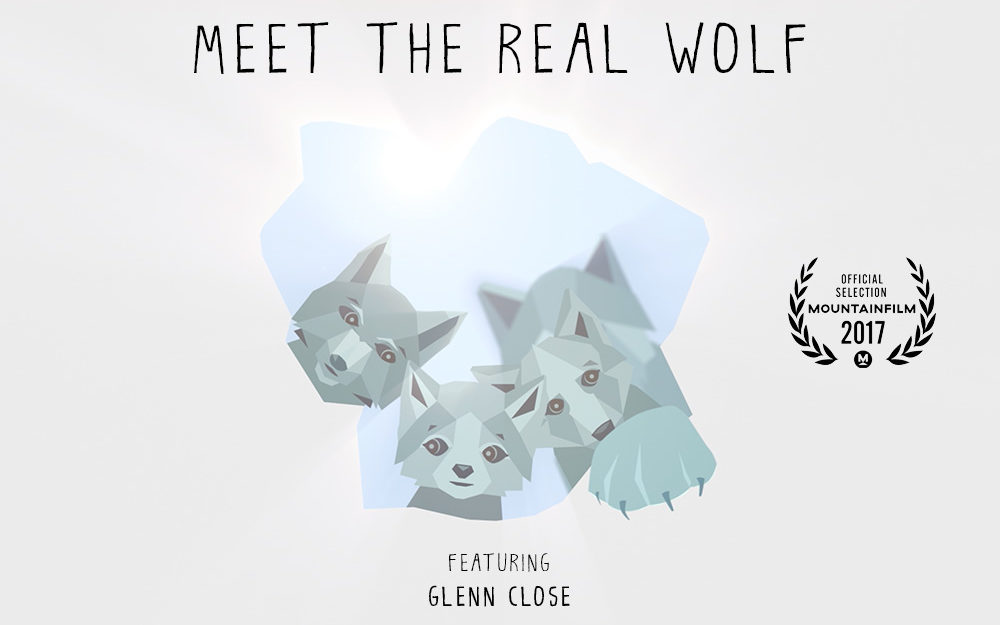 Meet the Real Wolf